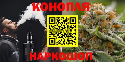 крисы Гагарин