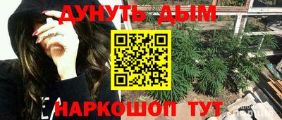 mdpv Гатчина