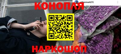 крисы Гагарин