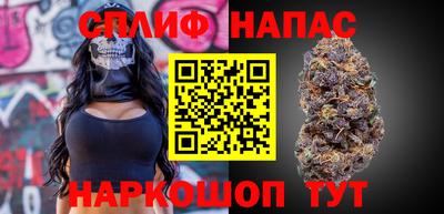 mdpv Гатчина