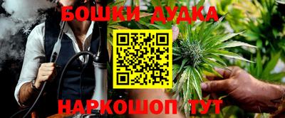 mdpv Гатчина
