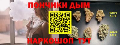 mdpv Гатчина