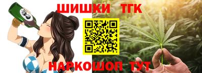 mdpv Гатчина