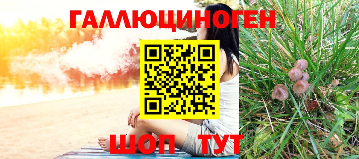 Псилоцибиновые грибы прущие грибы Нововоронеж