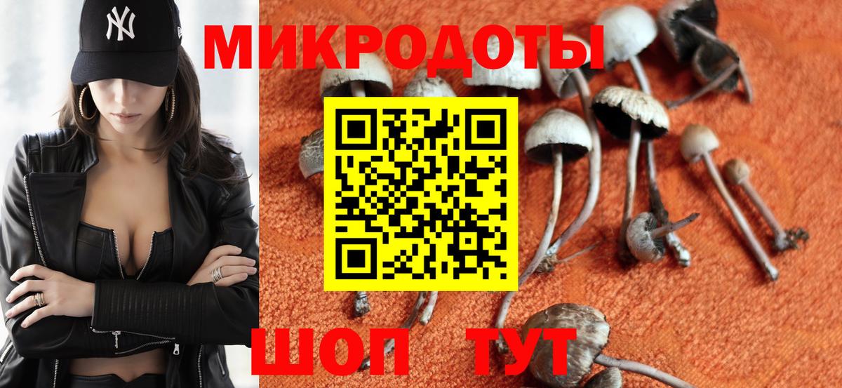 Галлюциногенные грибы мухоморы  Вход с VPN  Нововоронеж 